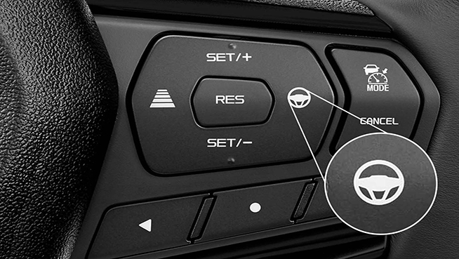Lane Support System (LSS) Switch